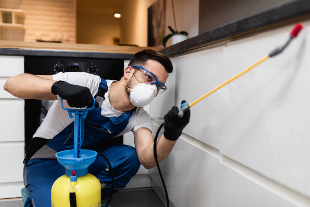 Best Cockroach Control Services  in Millbrae, CA