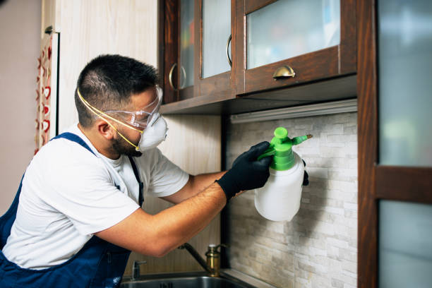 Best Exterminator Services  in Millbrae, CA