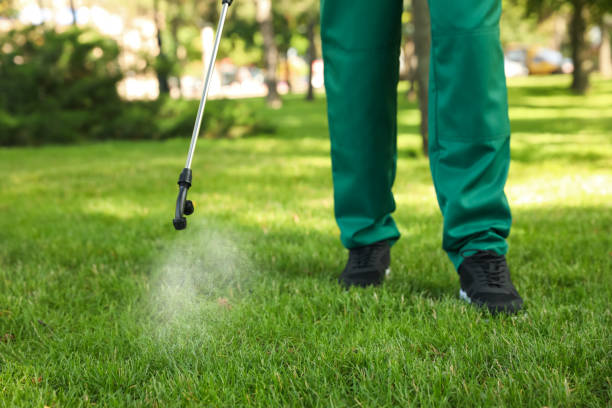 Best Pest Inspection Near Me  in Millbrae, CA