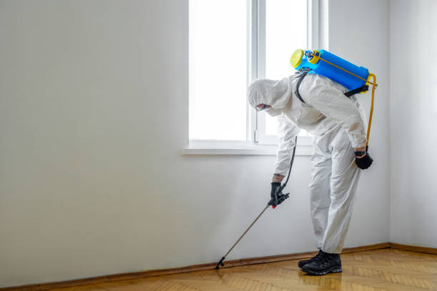 Best Residential Pest Control  in Millbrae, CA