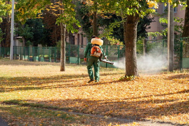Best Pest Control Near Me  in Millbrae, CA