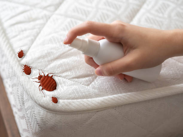 Best Pest Removal Services  in Millbrae, CA