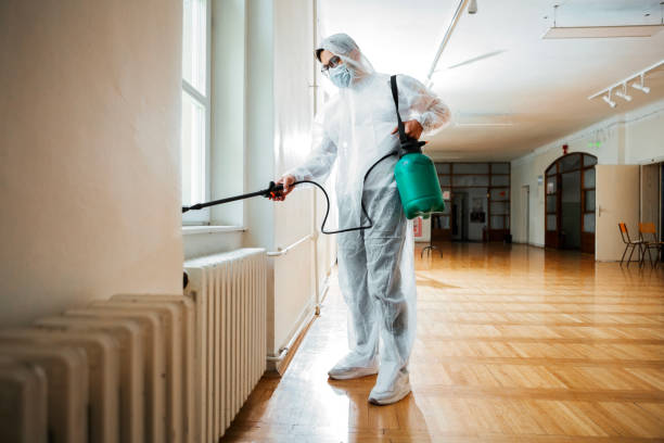 Best Termite Control Services  in Millbrae, CA