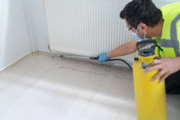 Best Commercial Pest Control Services  in Millbrae, CA